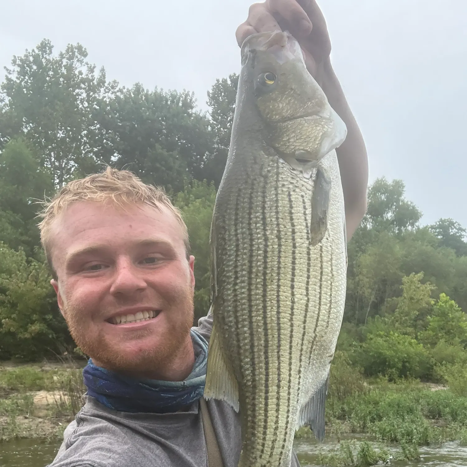 Wiper caught on Fishbrain