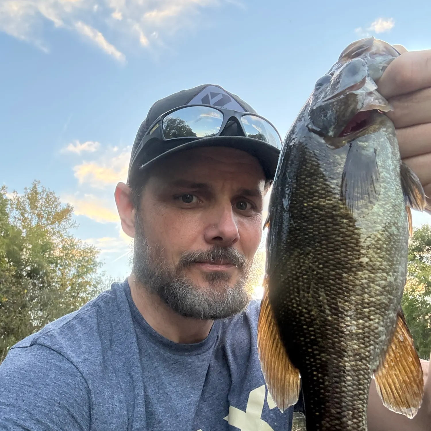 Smallmouth bass caught on Fishbrain