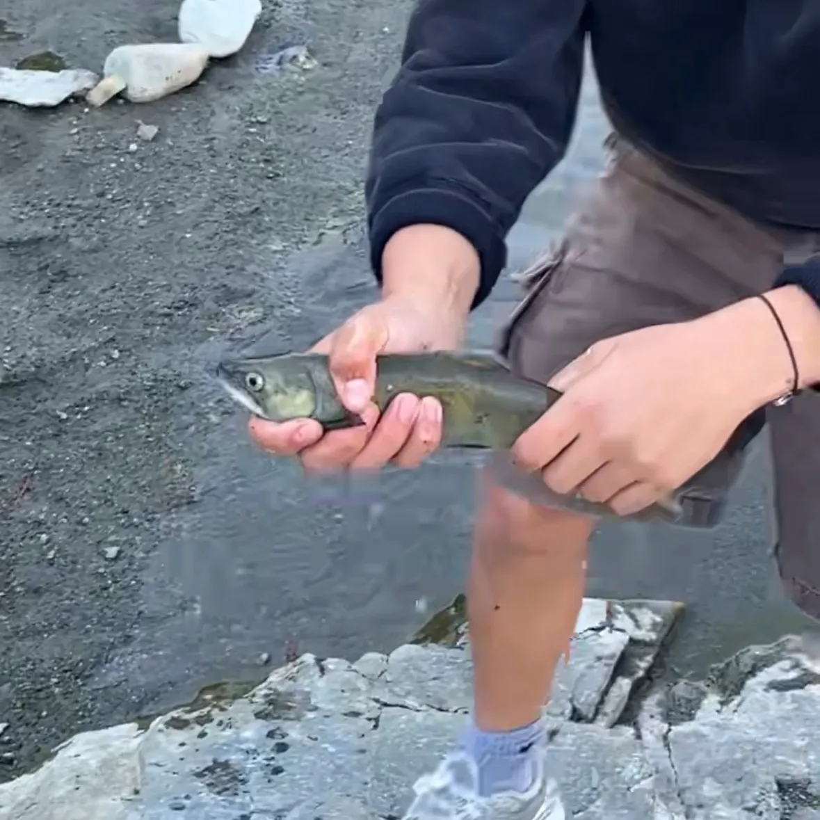 Sockeye salmon caught on Fishbrain