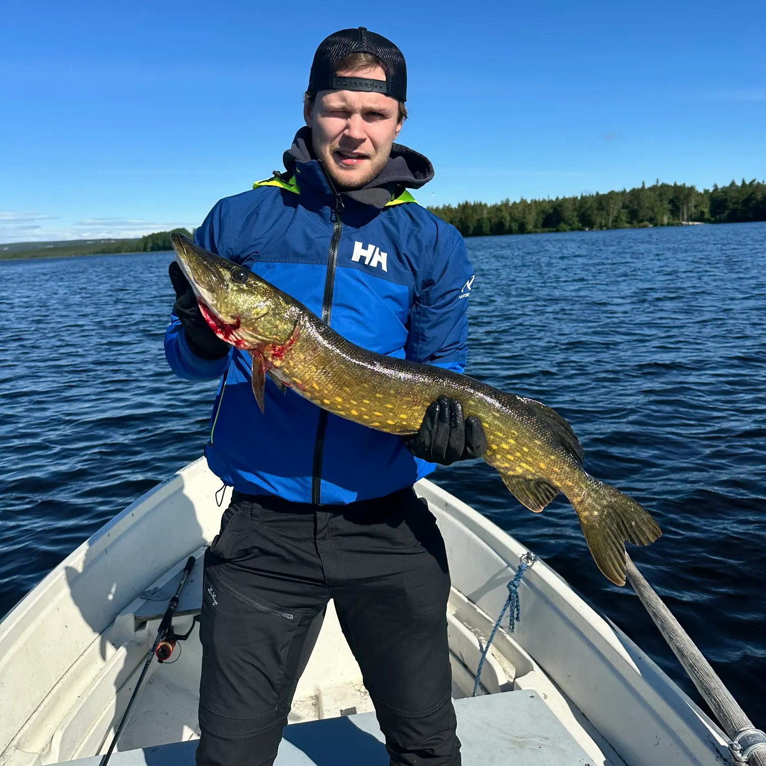 Northern pike caught on Fishbrain