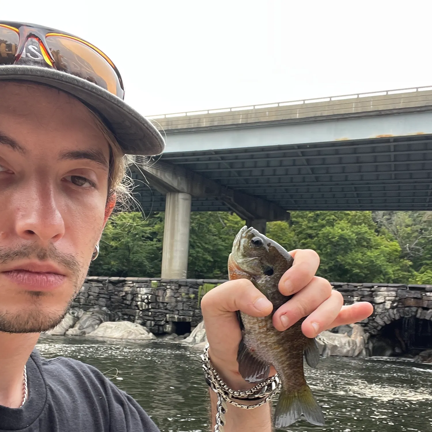 Bluegill caught on Fishbrain