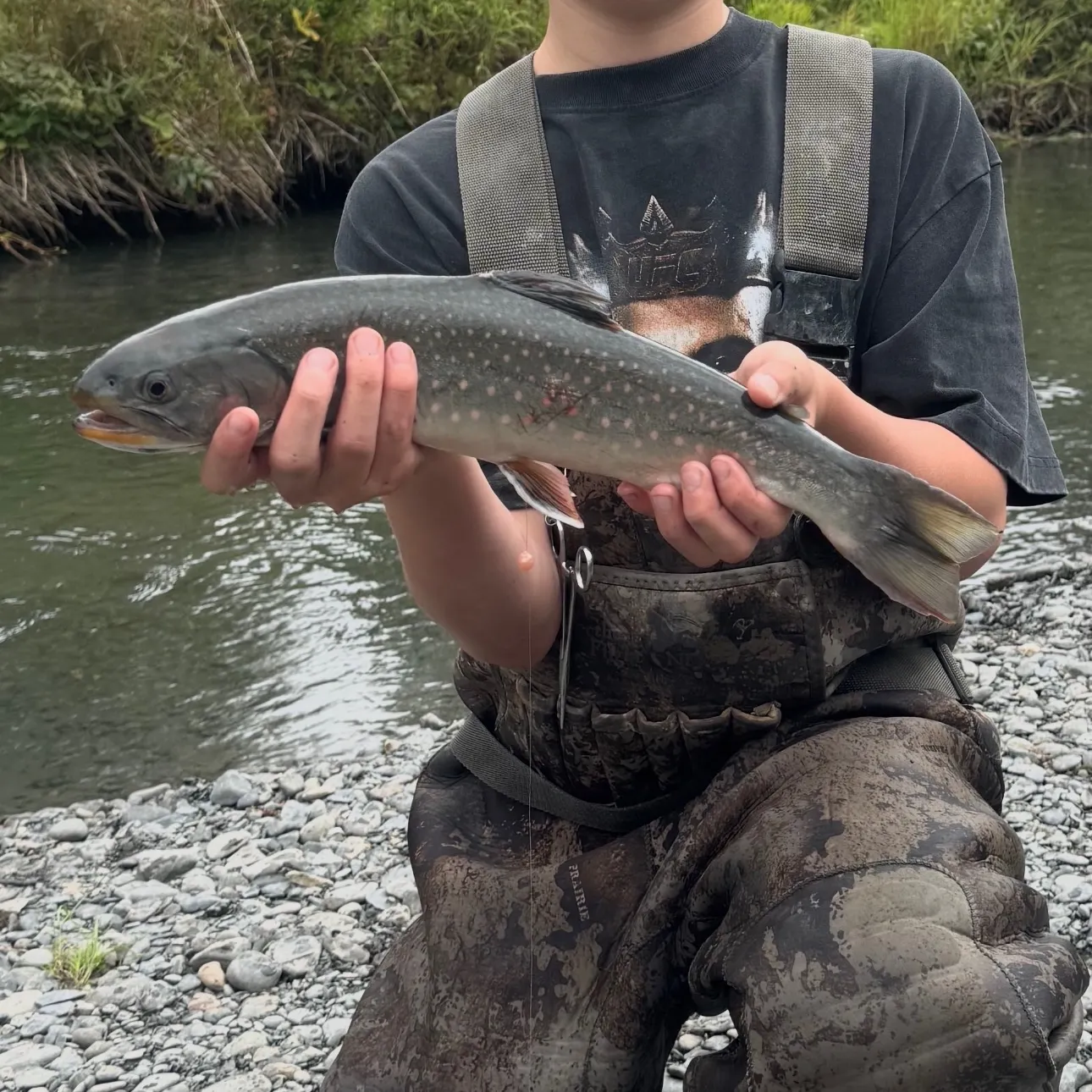 Dolly varden caught on Fishbrain