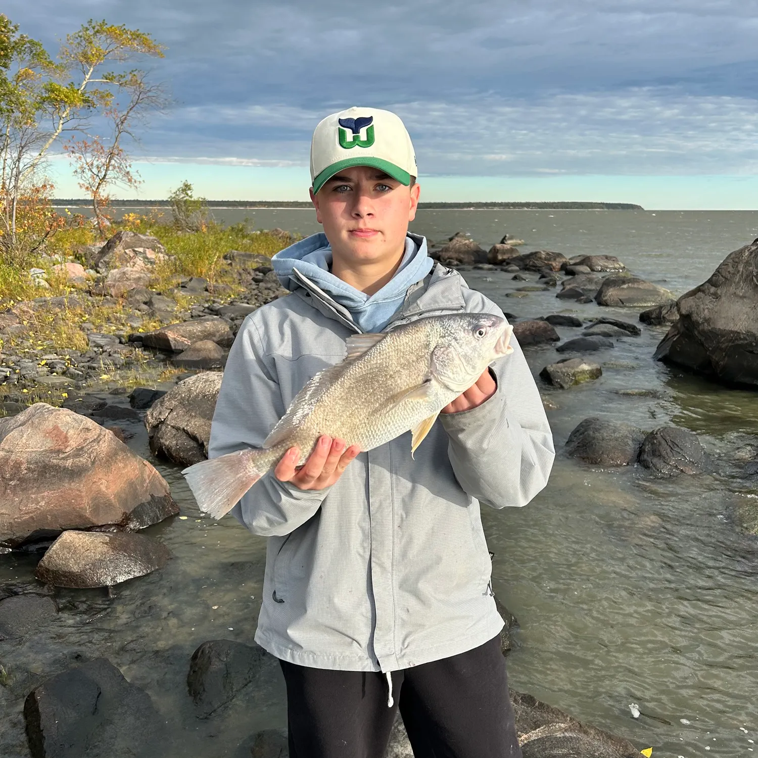 Freshwater drum caught on Fishbrain