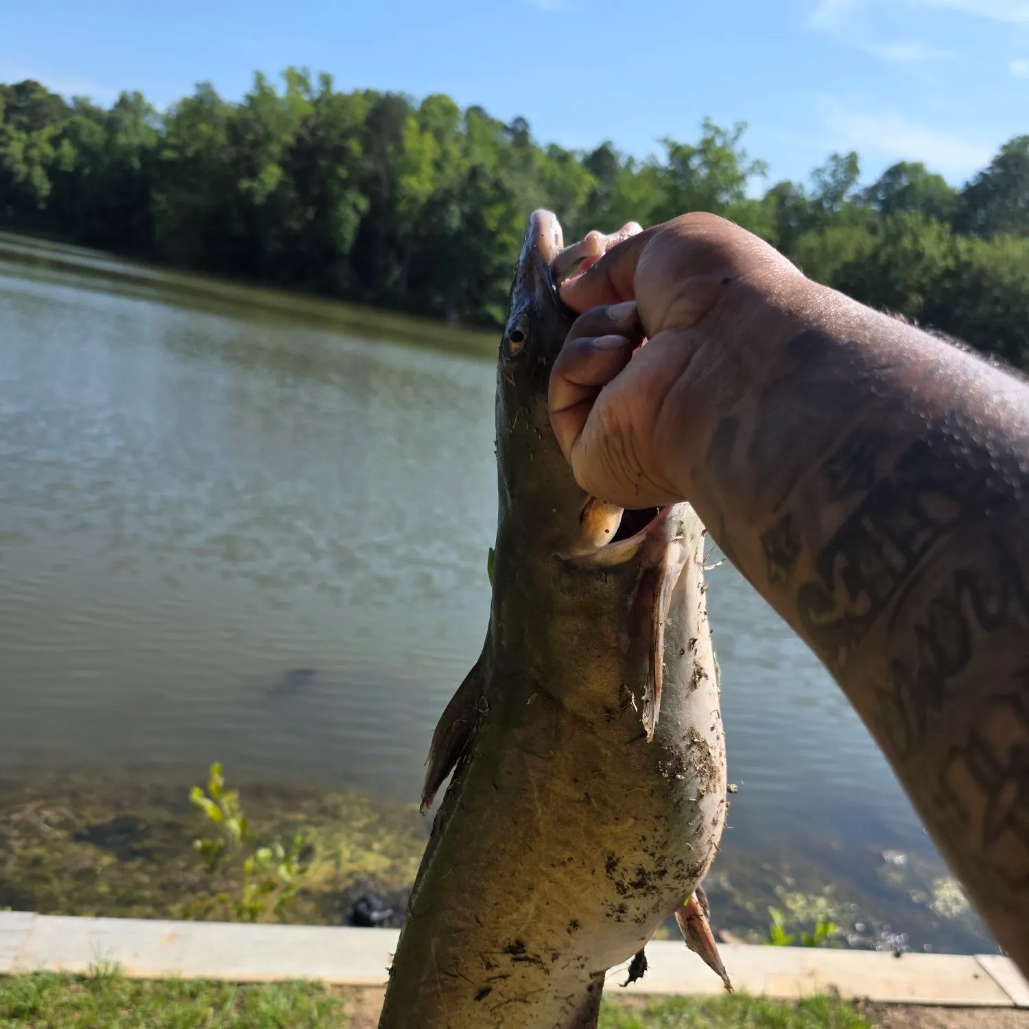 catch