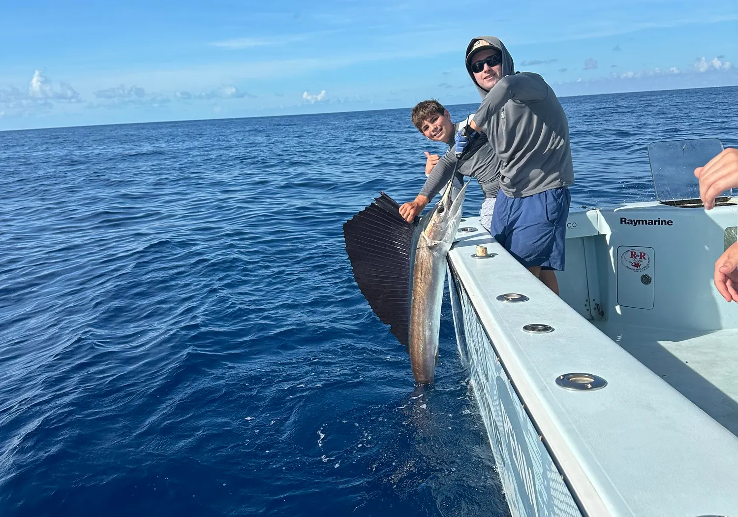 Atlantic sailfish