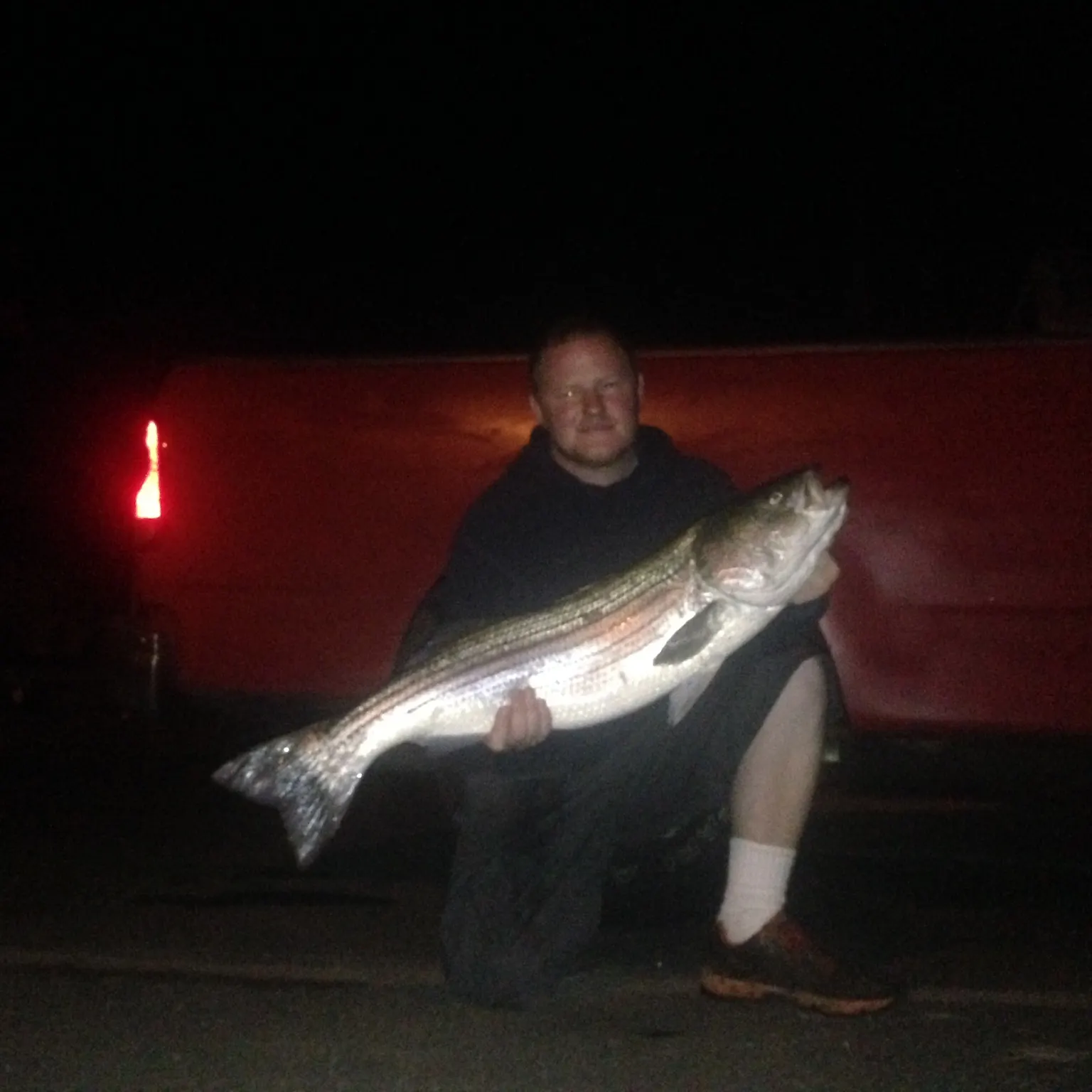 The most recent Striped bass catches on Fishbrain
