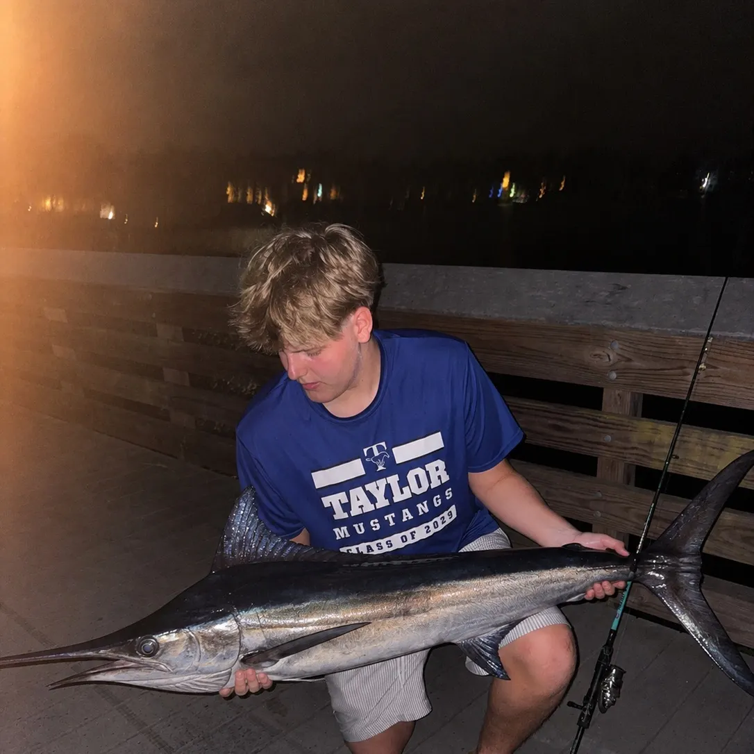 The most recent Atlantic blue marlin catches on Fishbrain