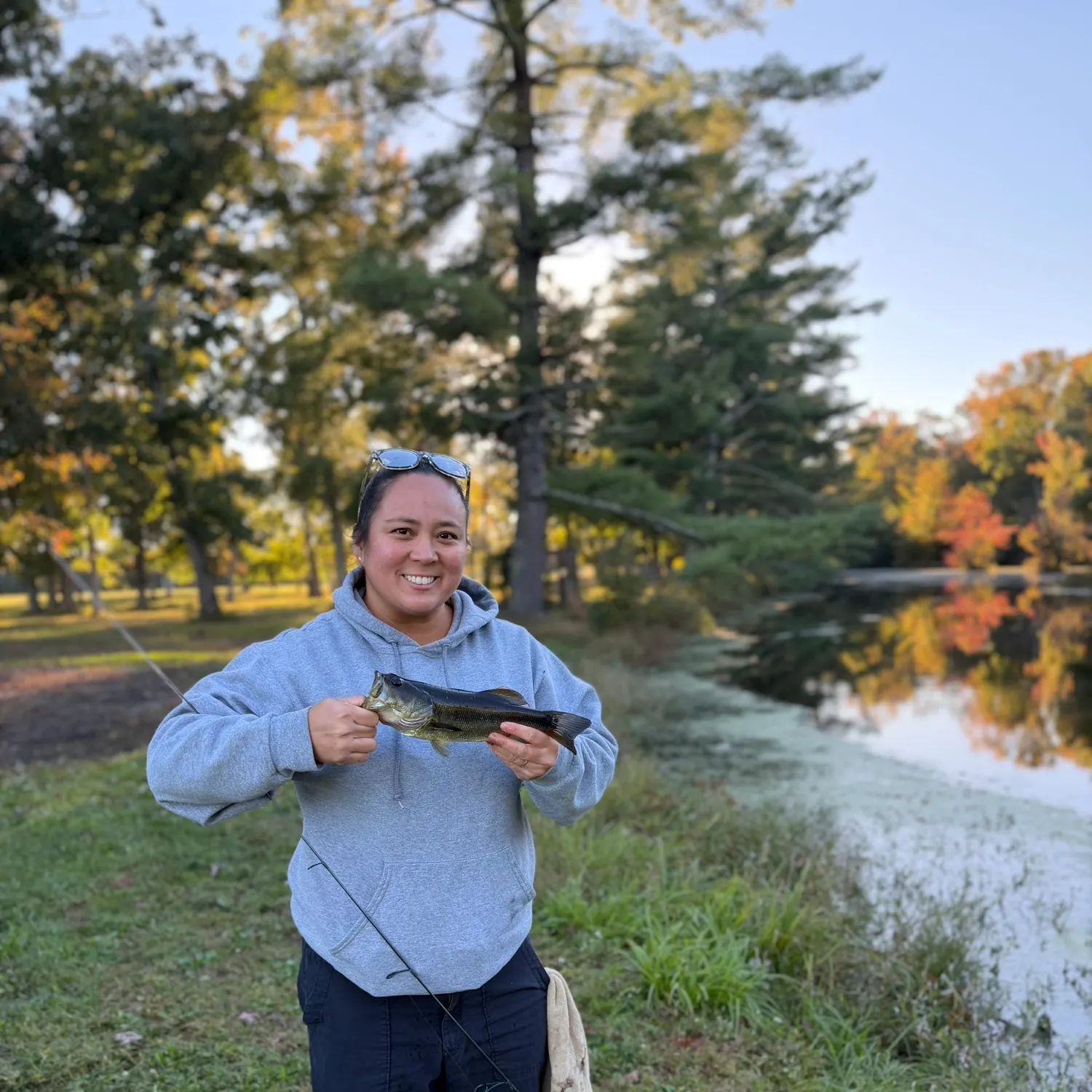 Largemouth bass caught on Fishbrain