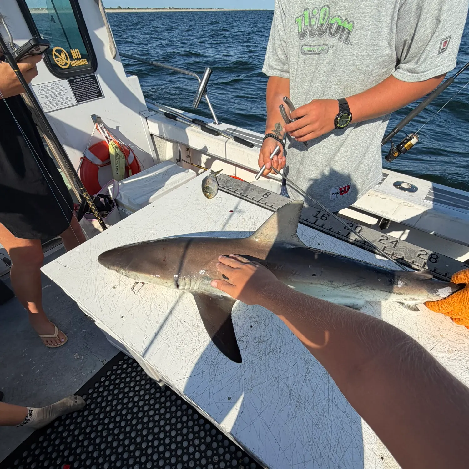 Dusky shark caught on Fishbrain