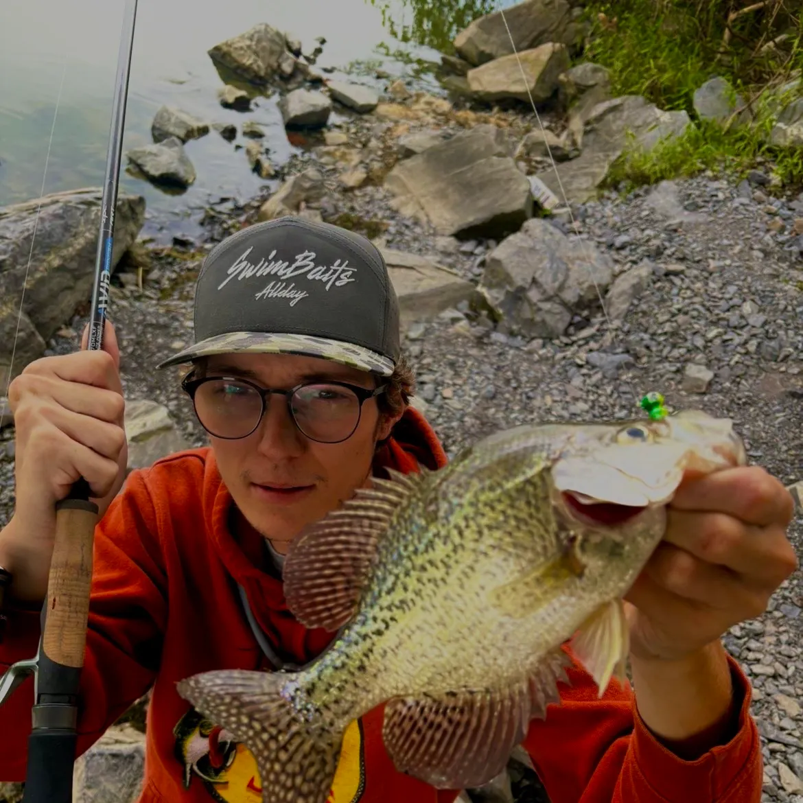 Black crappie caught on Fishbrain