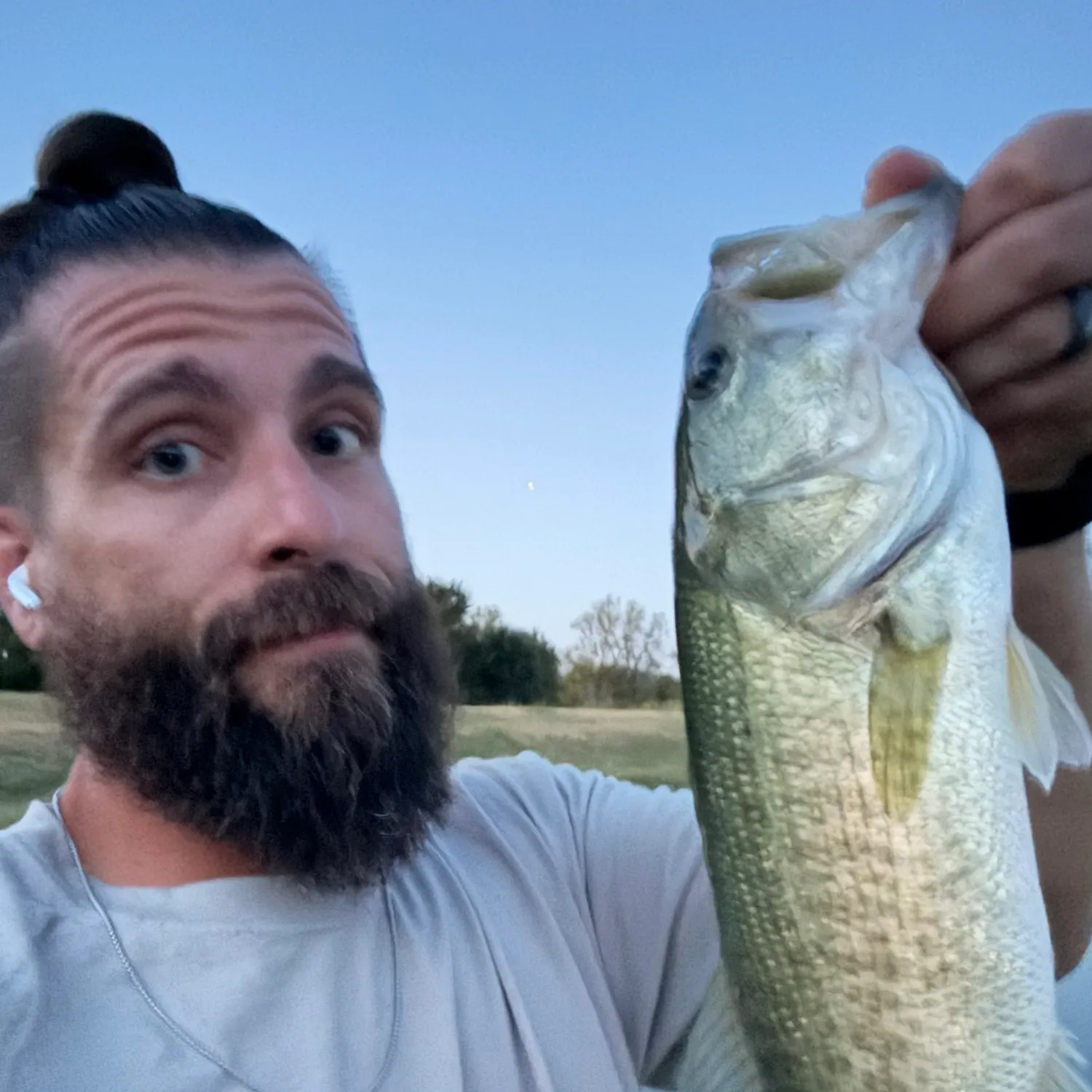Spotted bass caught on Fishbrain