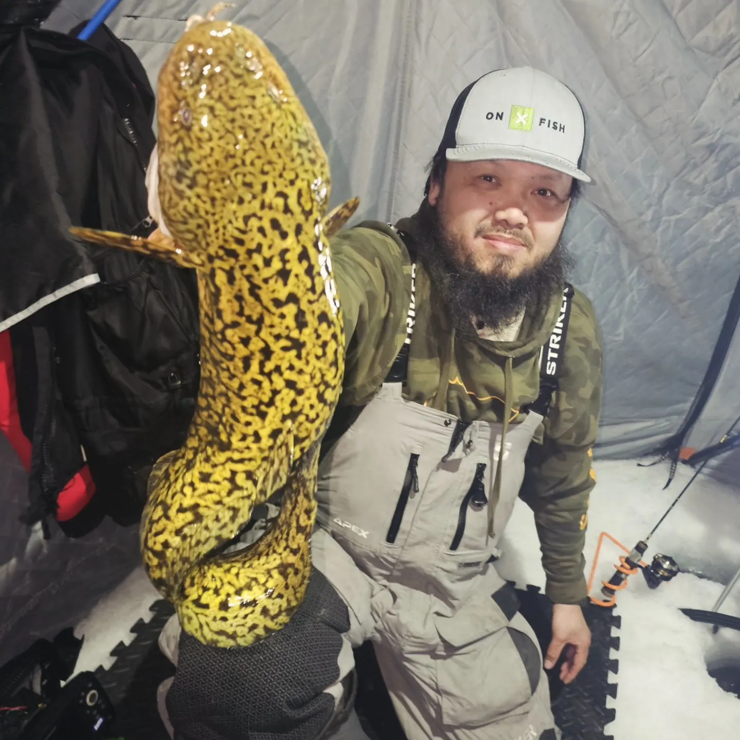 The most recent Burbot catches on Fishbrain