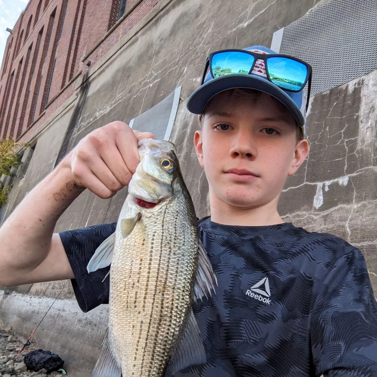 Wiper caught on Fishbrain