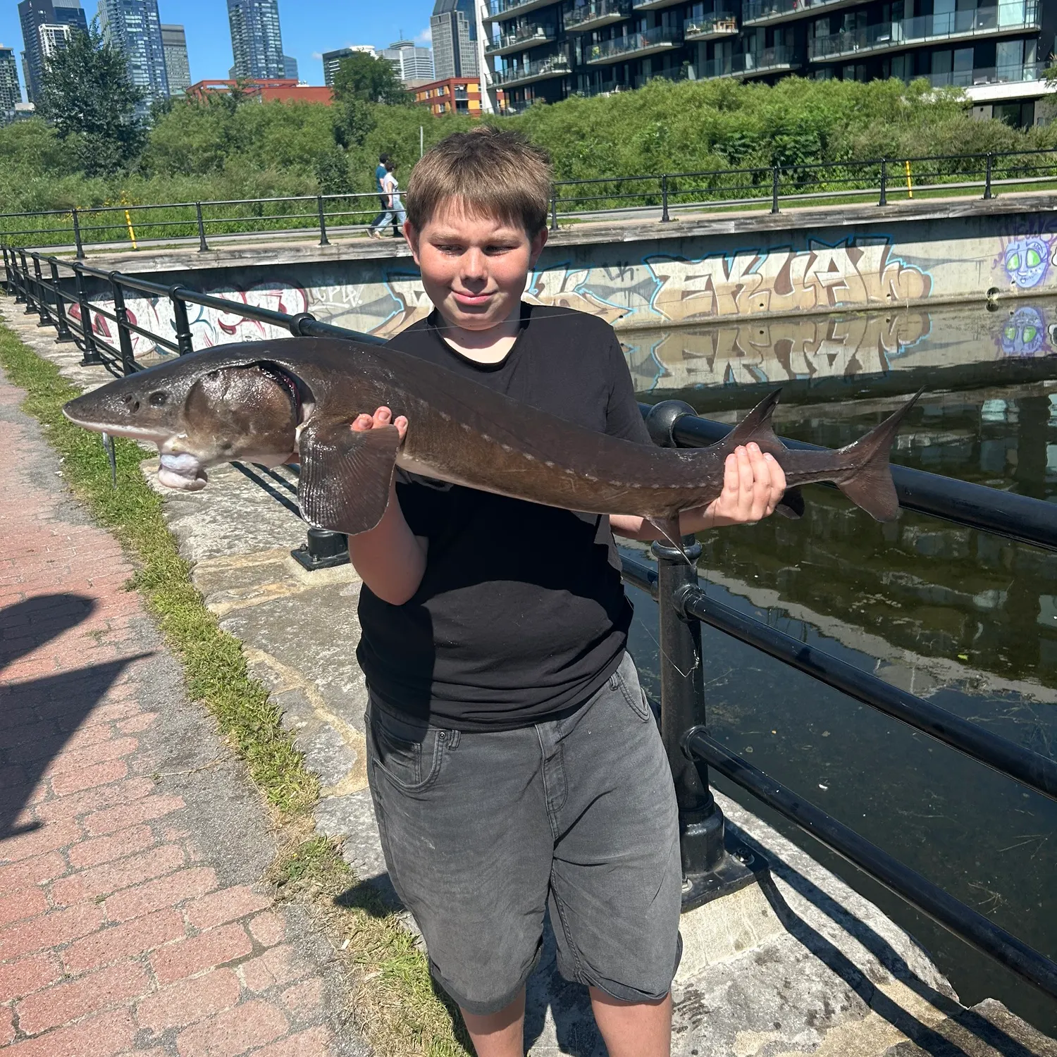 Lake sturgeon caught on Fishbrain