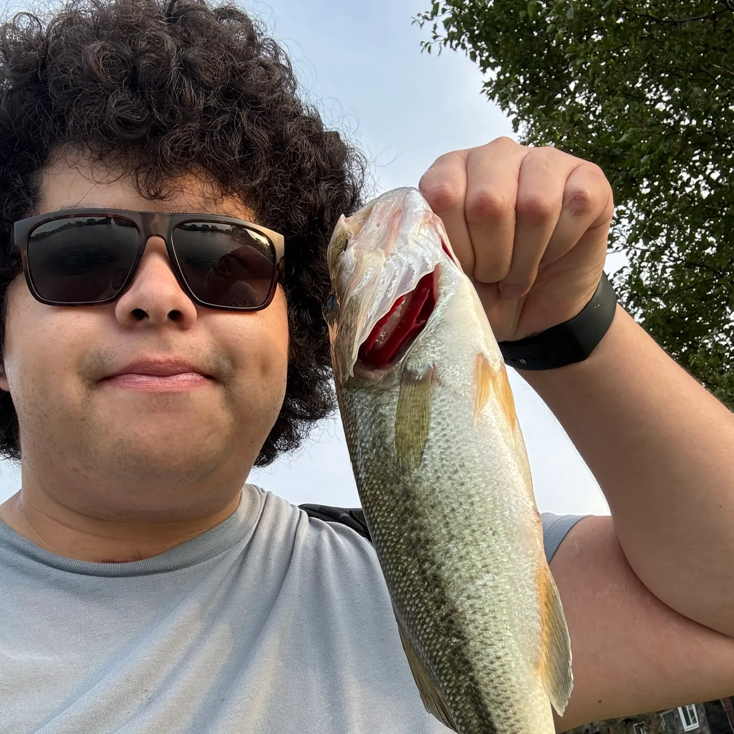 angler catch