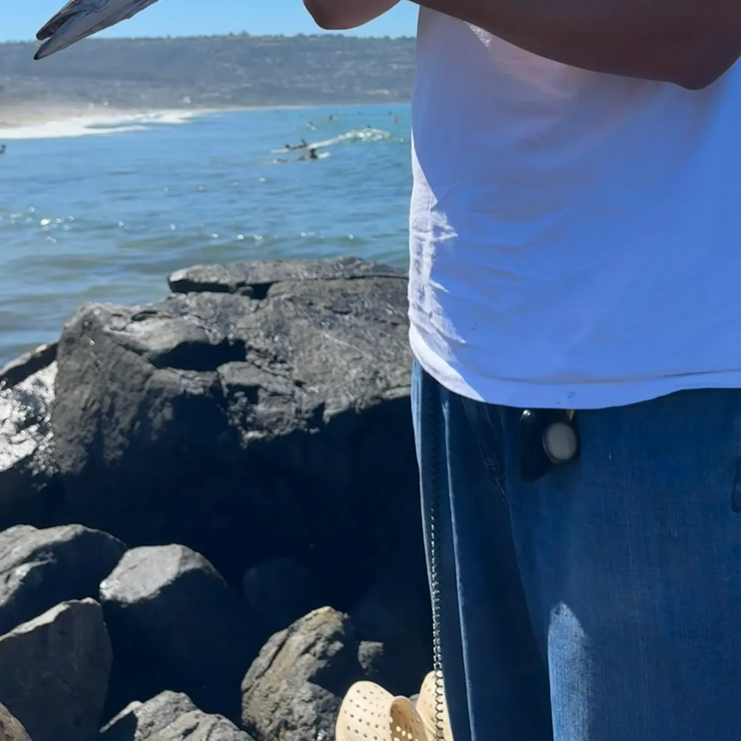 Pacific barracuda caught on Fishbrain