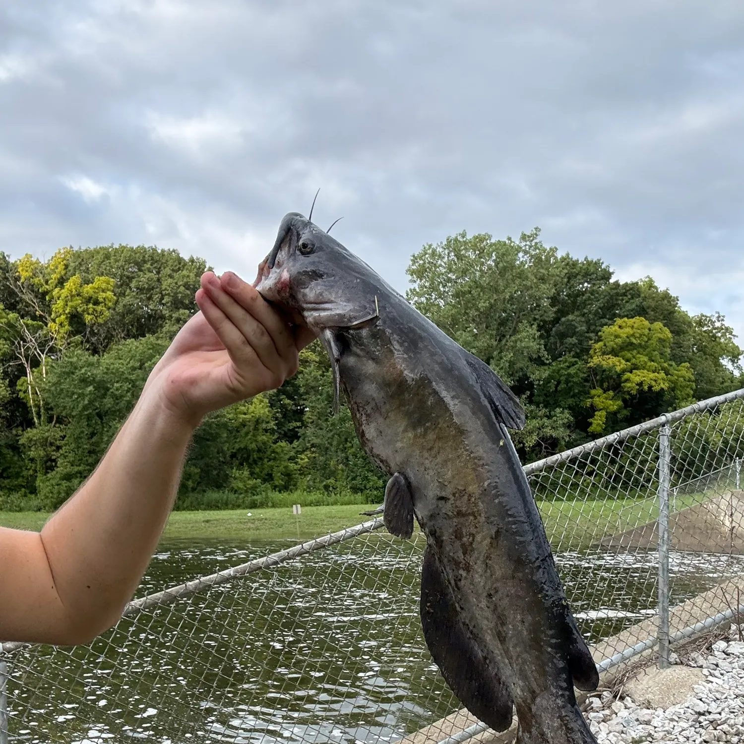 catch