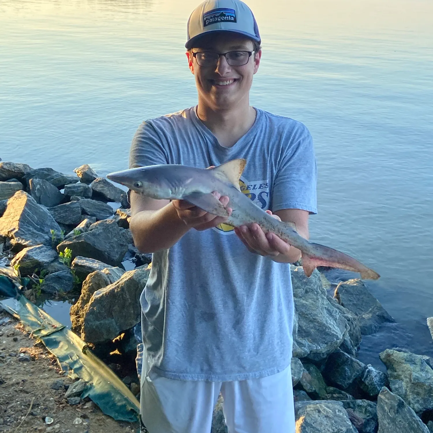 Sandbar shark caught on Fishbrain