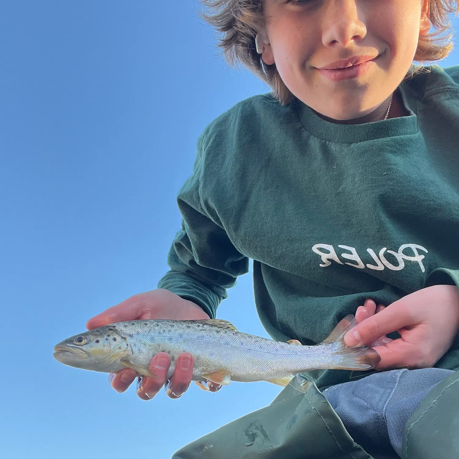 Brown trout caught on Fishbrain