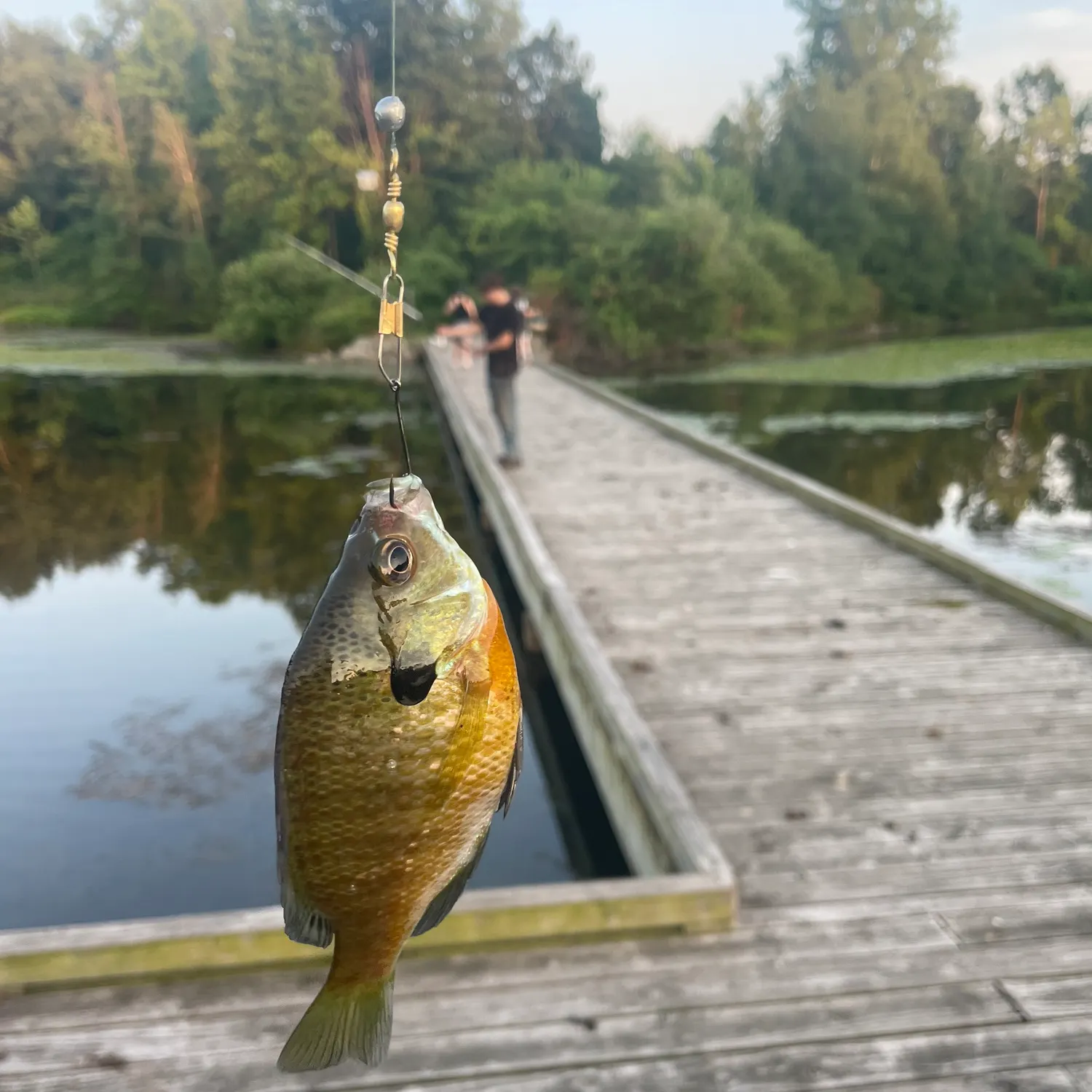 catch