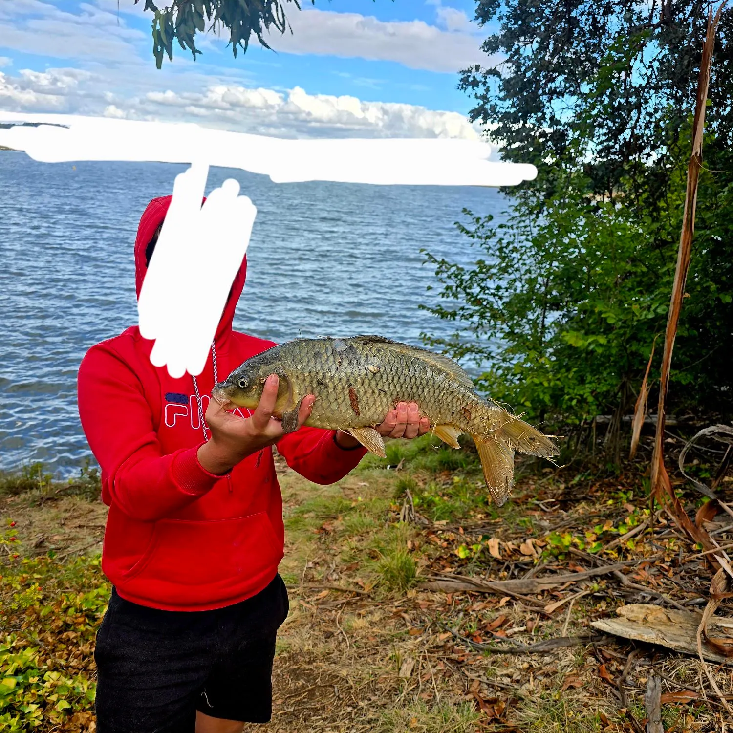 The most recent Common carp catches on Fishbrain