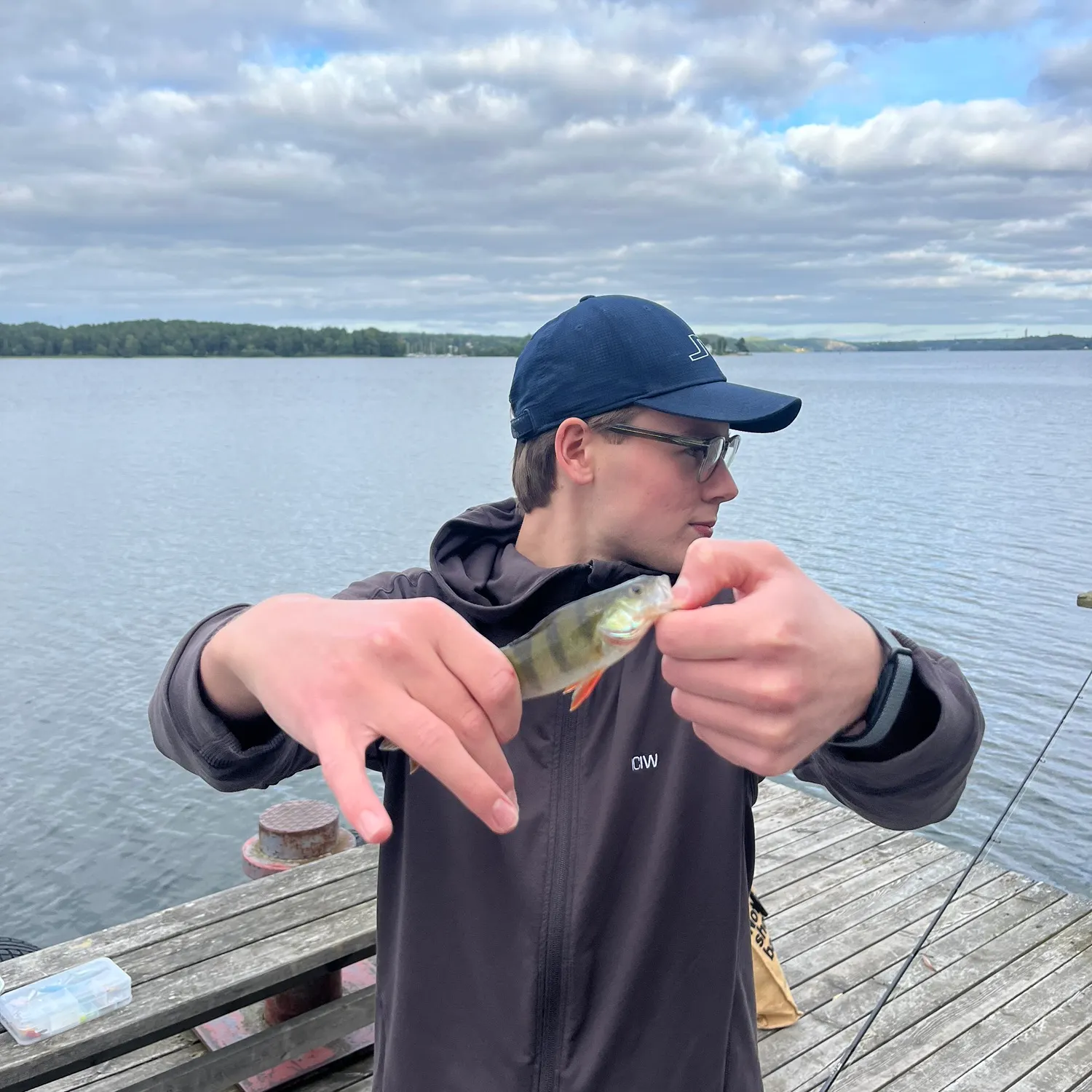 European perch caught on Fishbrain