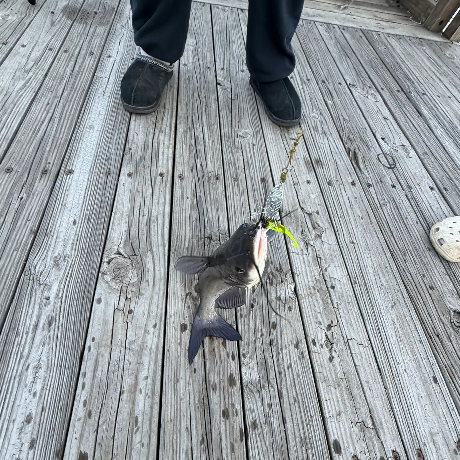 catch