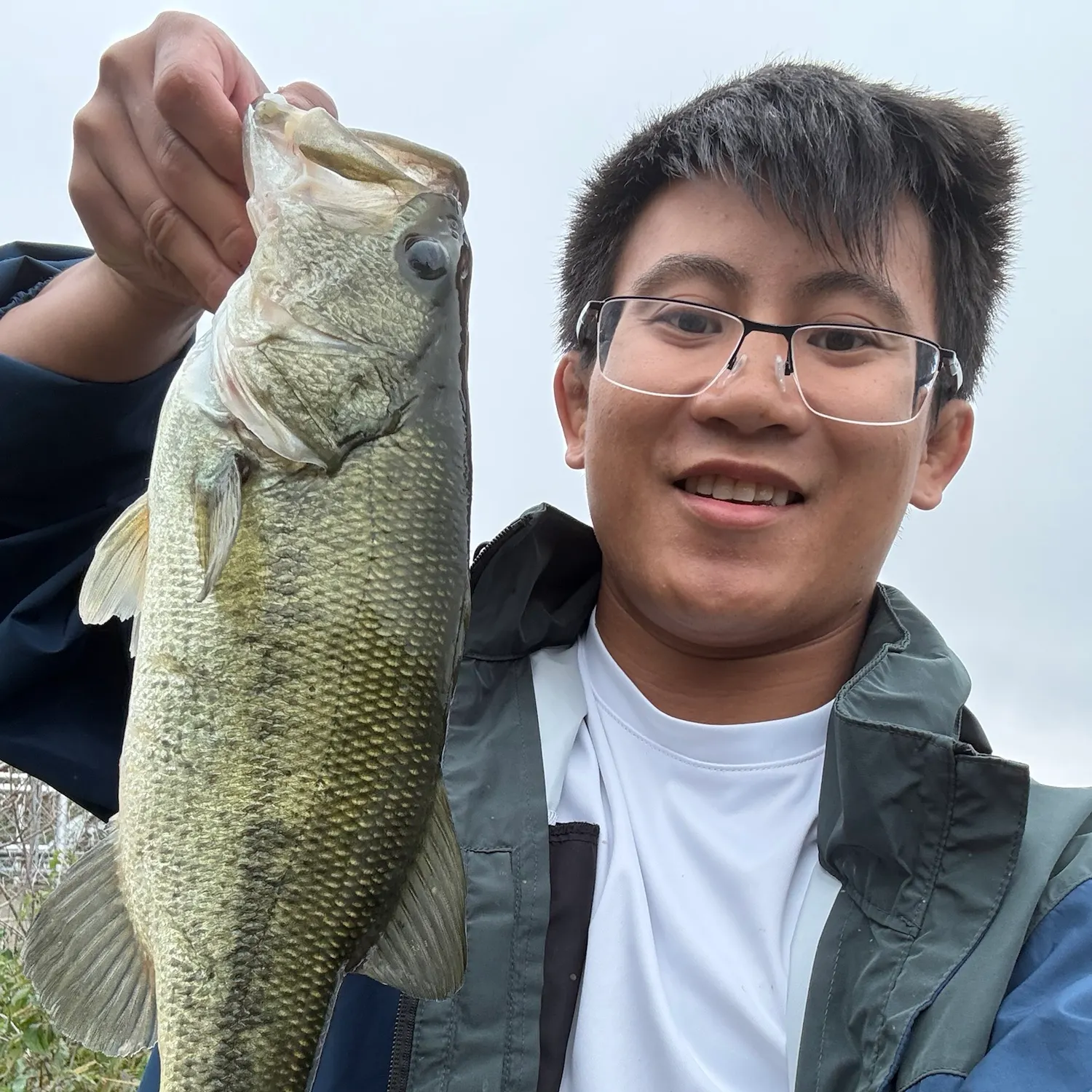 The most recent Largemouth bass catches on Fishbrain