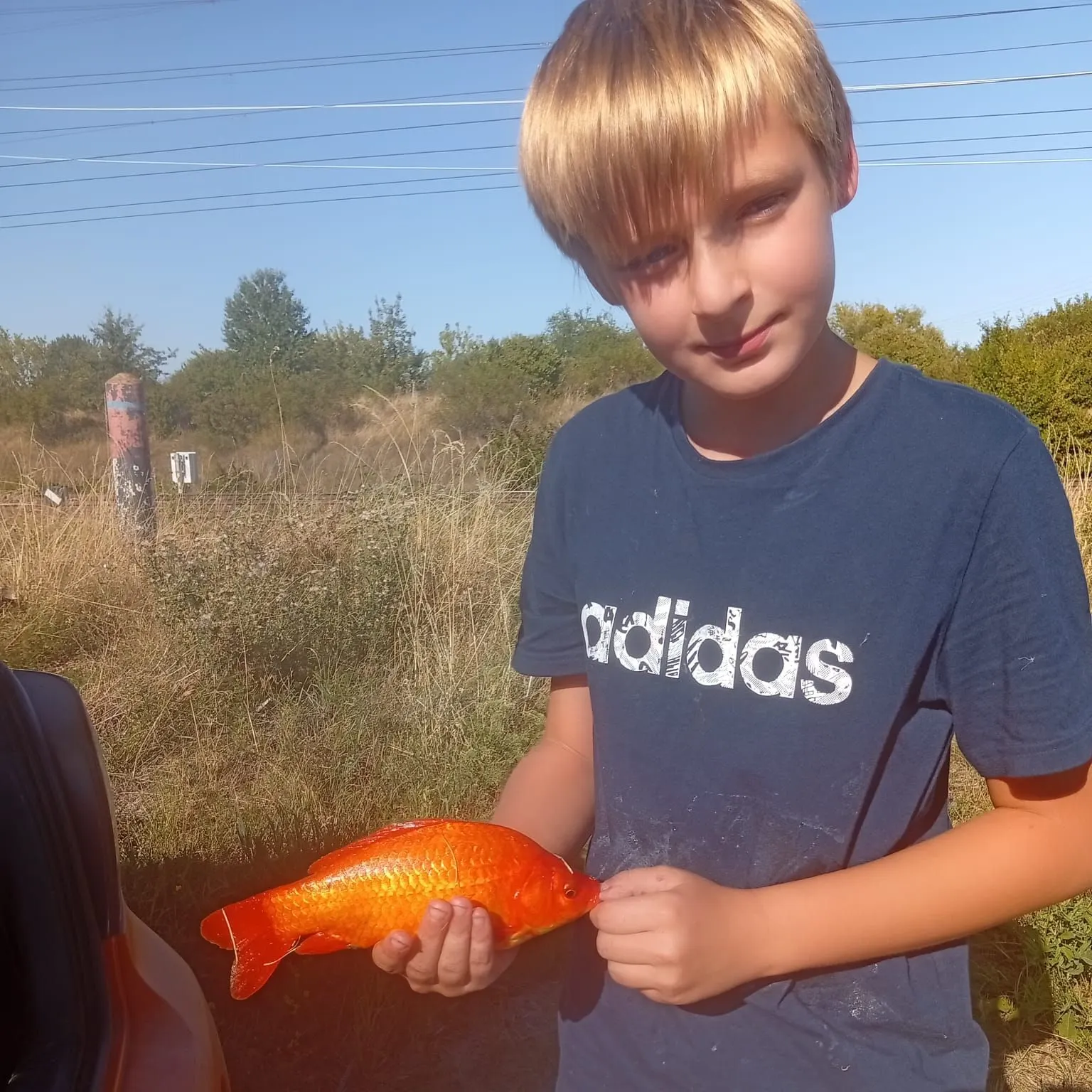 Prussian carp caught on Fishbrain