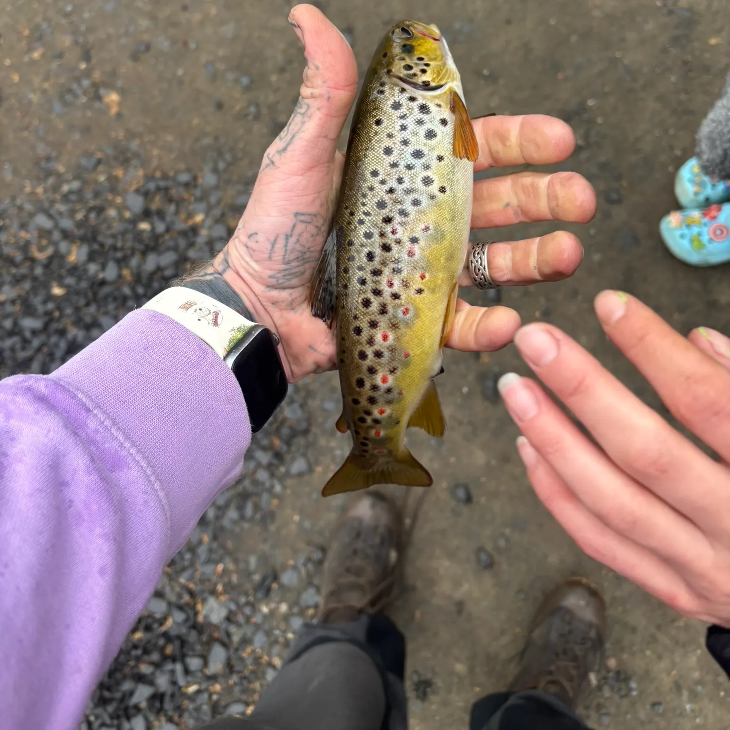 recently logged catches