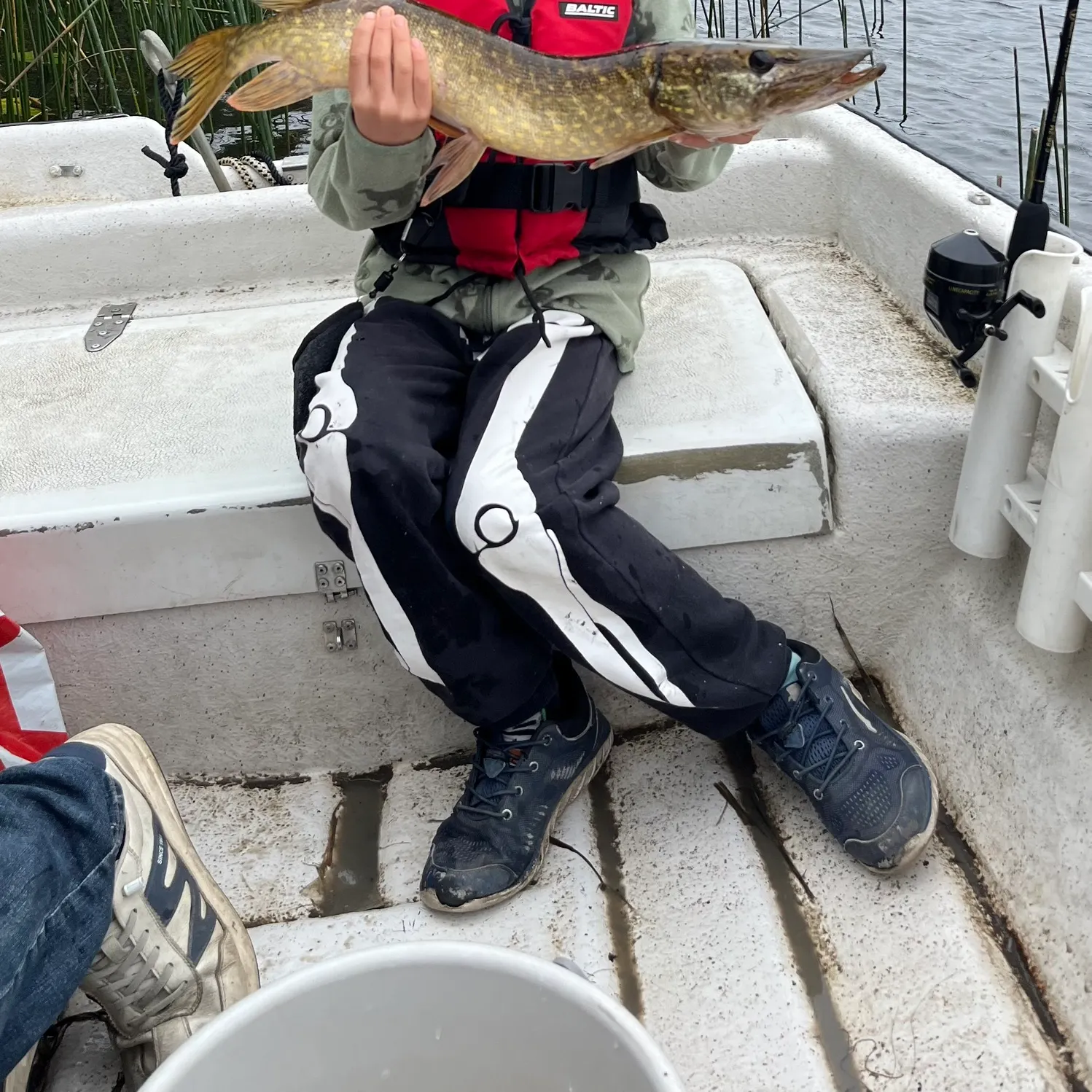 Northern pike caught on Fishbrain