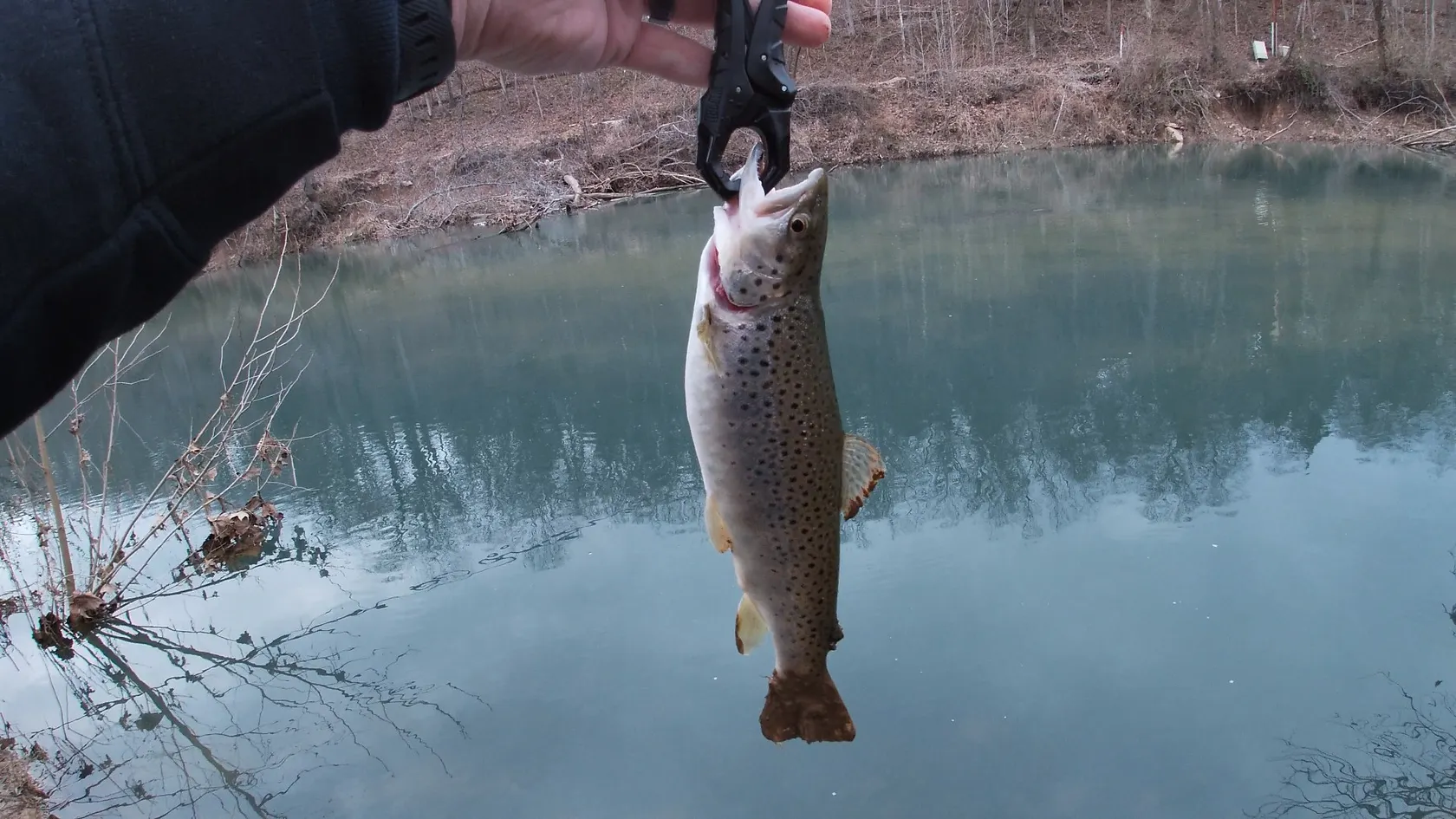 Post image from KayakSoldier