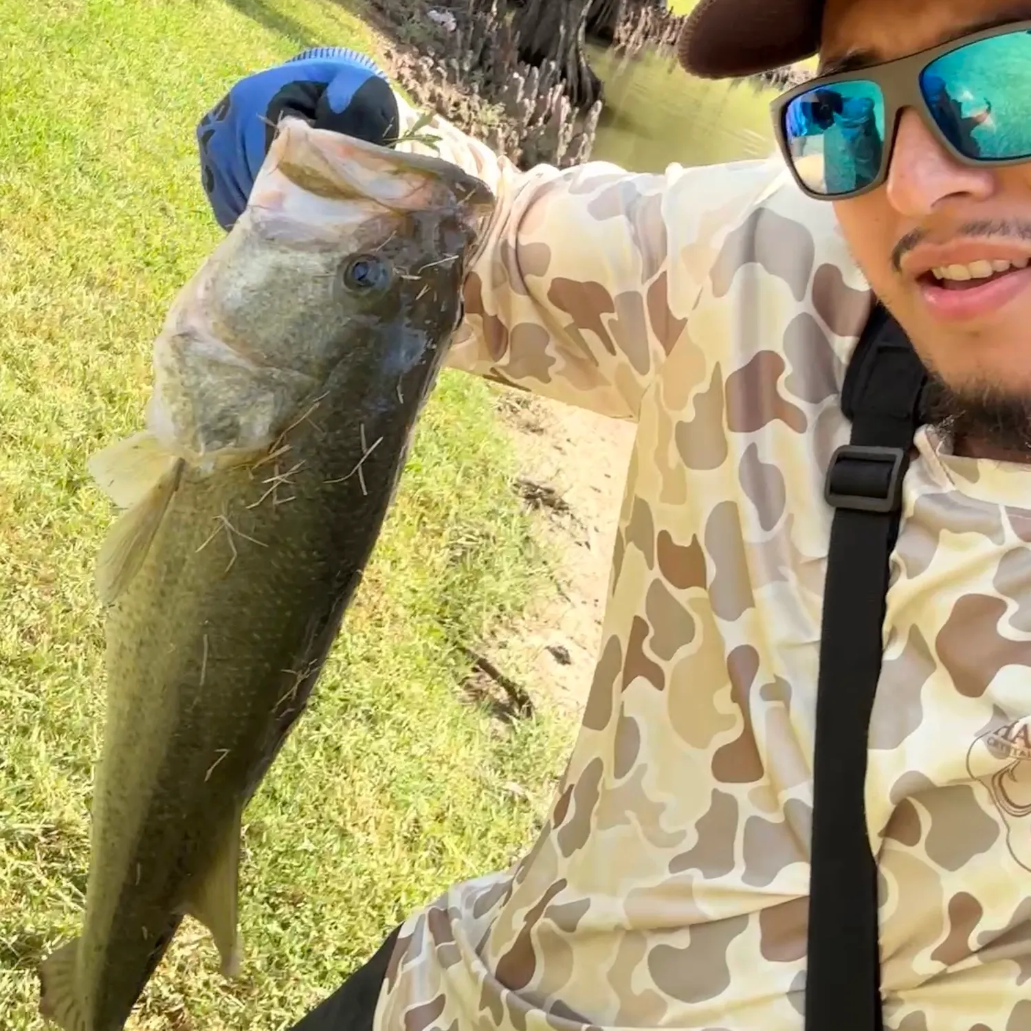 Largemouth bass caught on Fishbrain