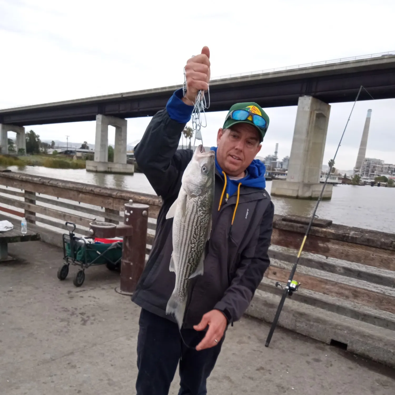 angler catch