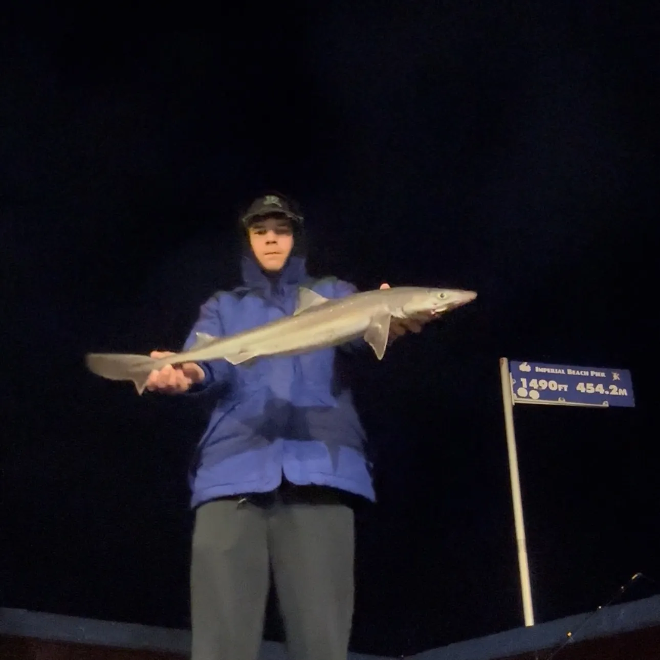 The most recent Pacific spiny dogfish catches on Fishbrain