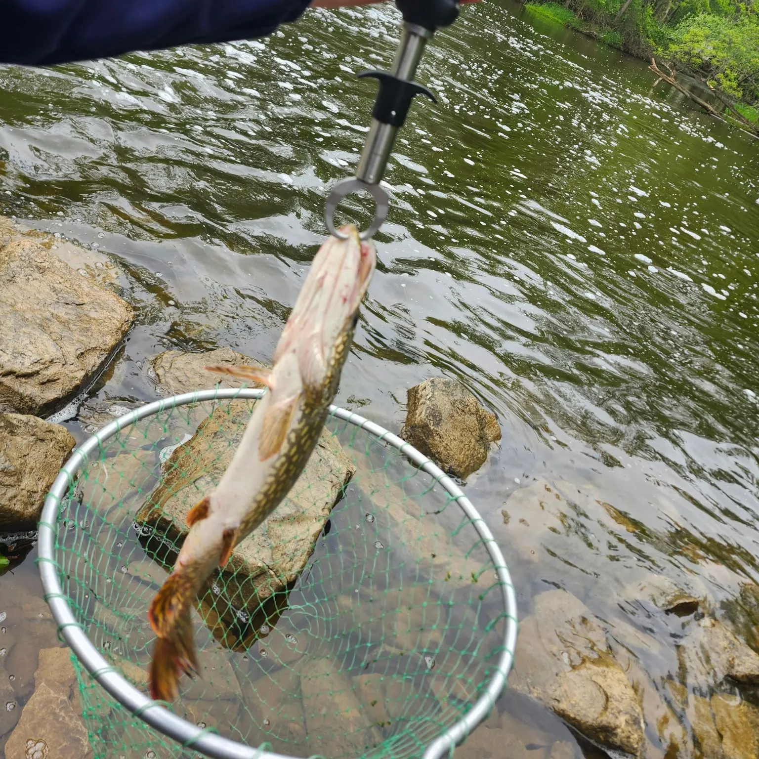 catch