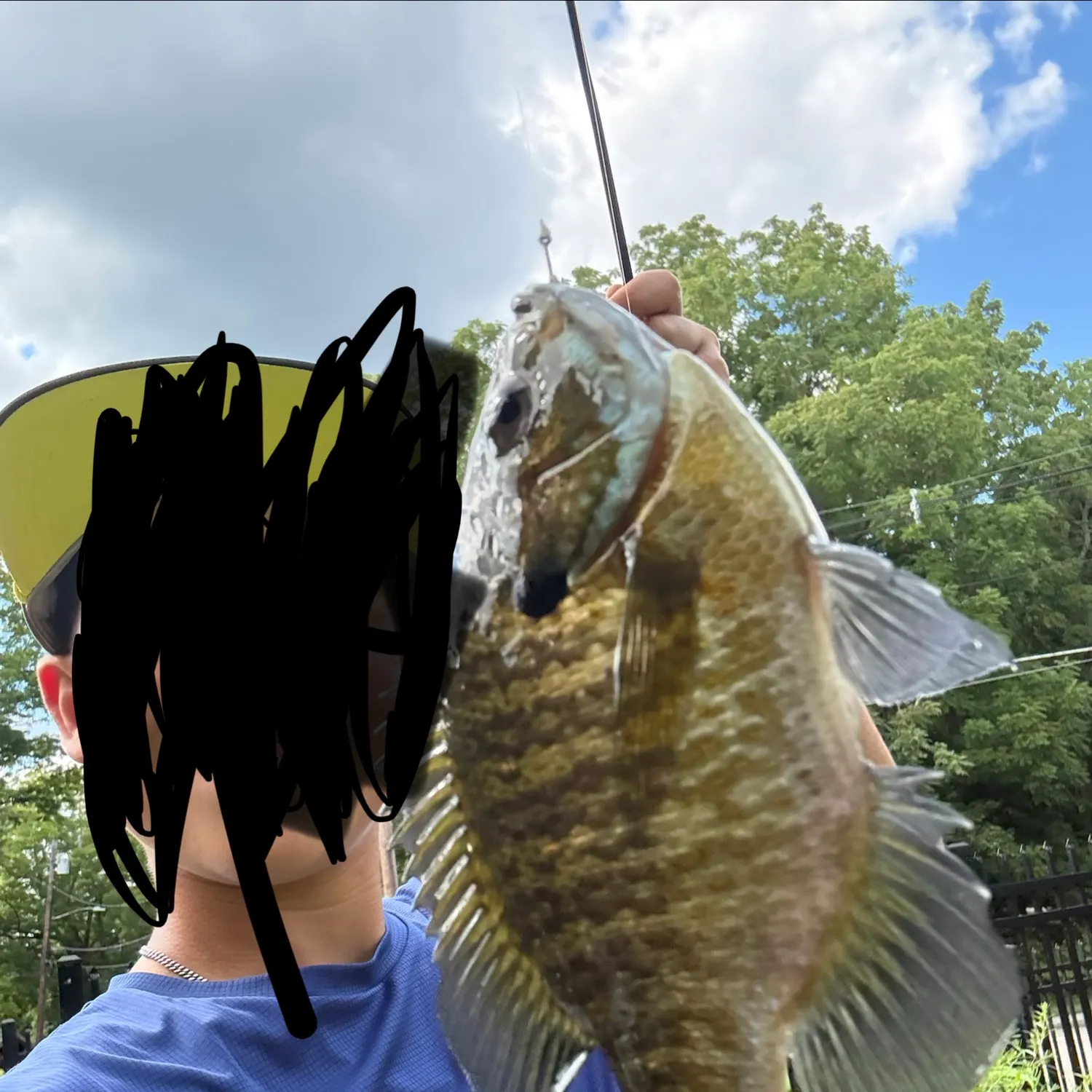 Bluegill caught on Fishbrain