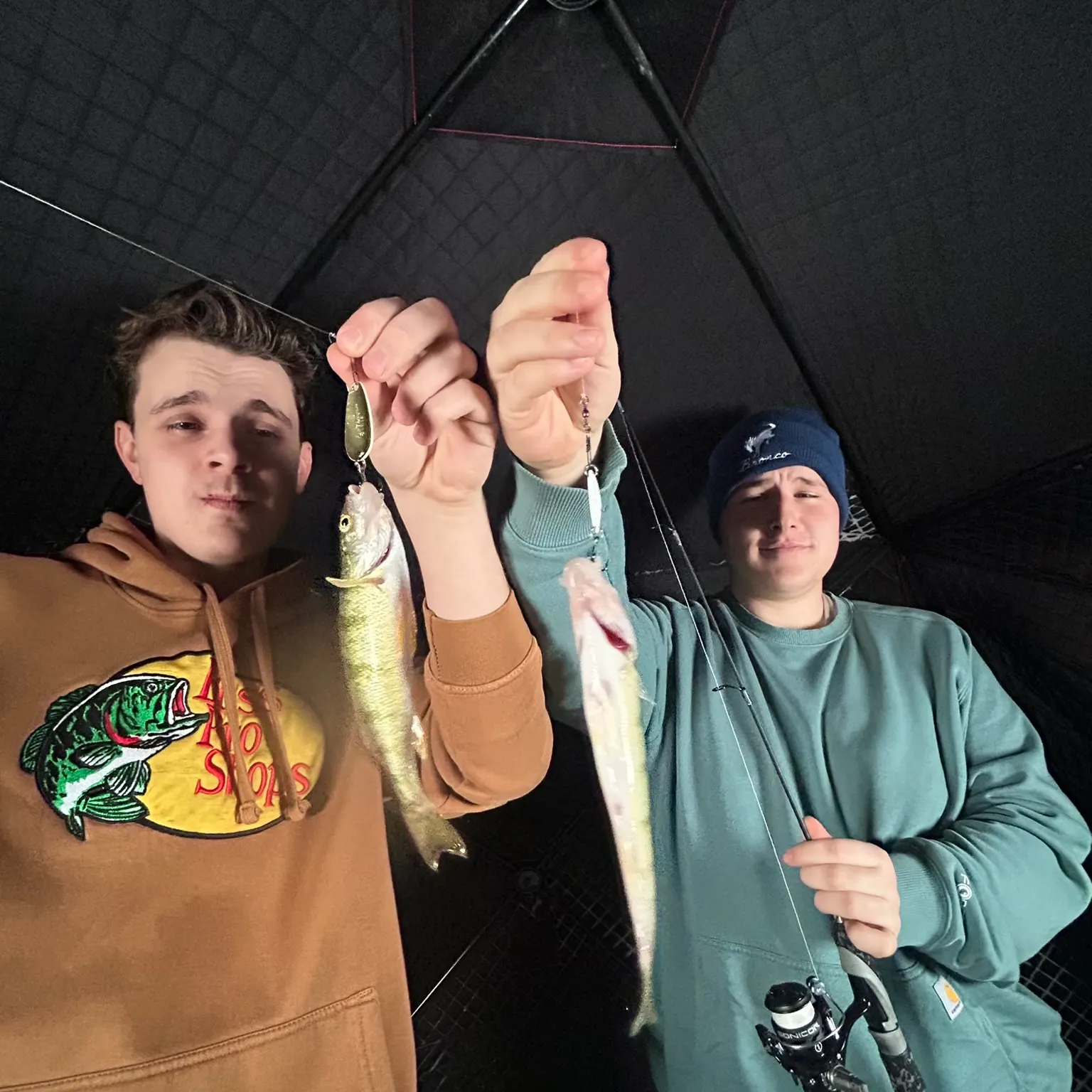 recently logged catches