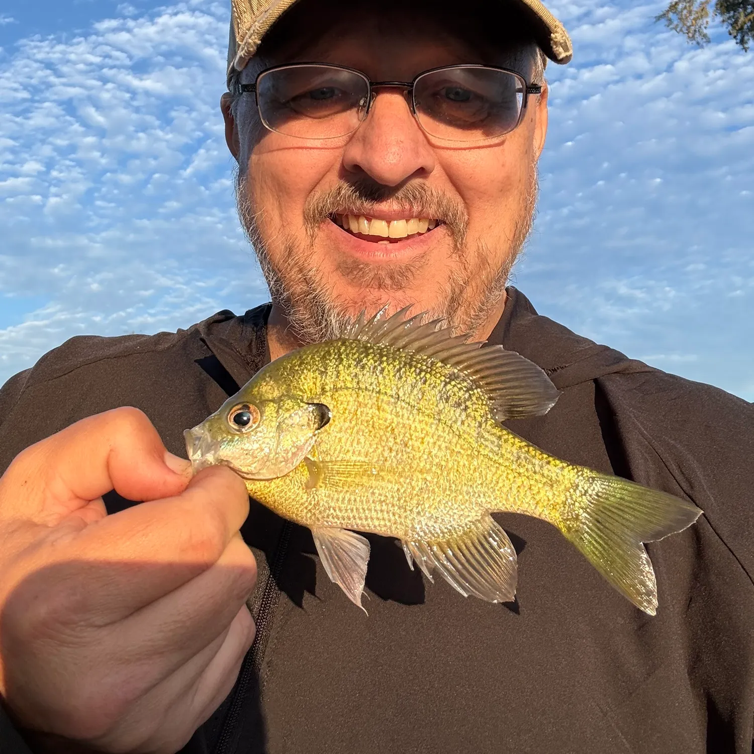 Bluegill caught on Fishbrain