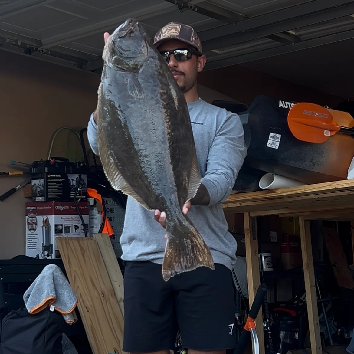 The most recent California halibut catches on Fishbrain
