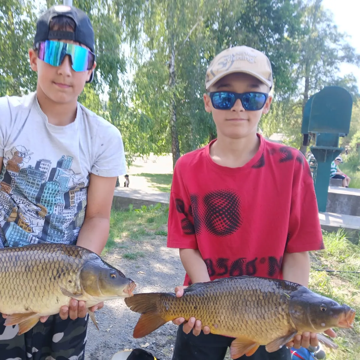 Common carp caught on Fishbrain