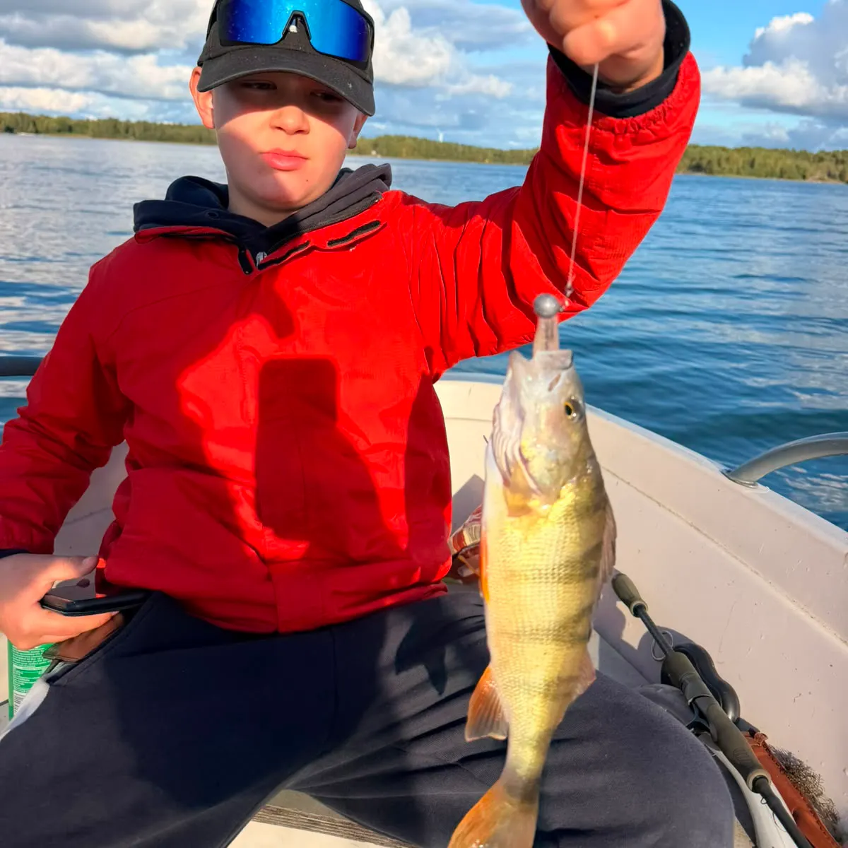 European perch caught on Fishbrain