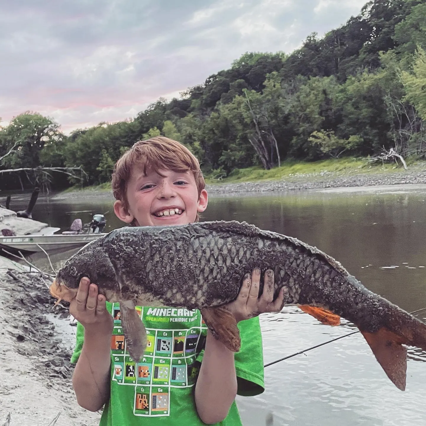 Common carp caught on Fishbrain