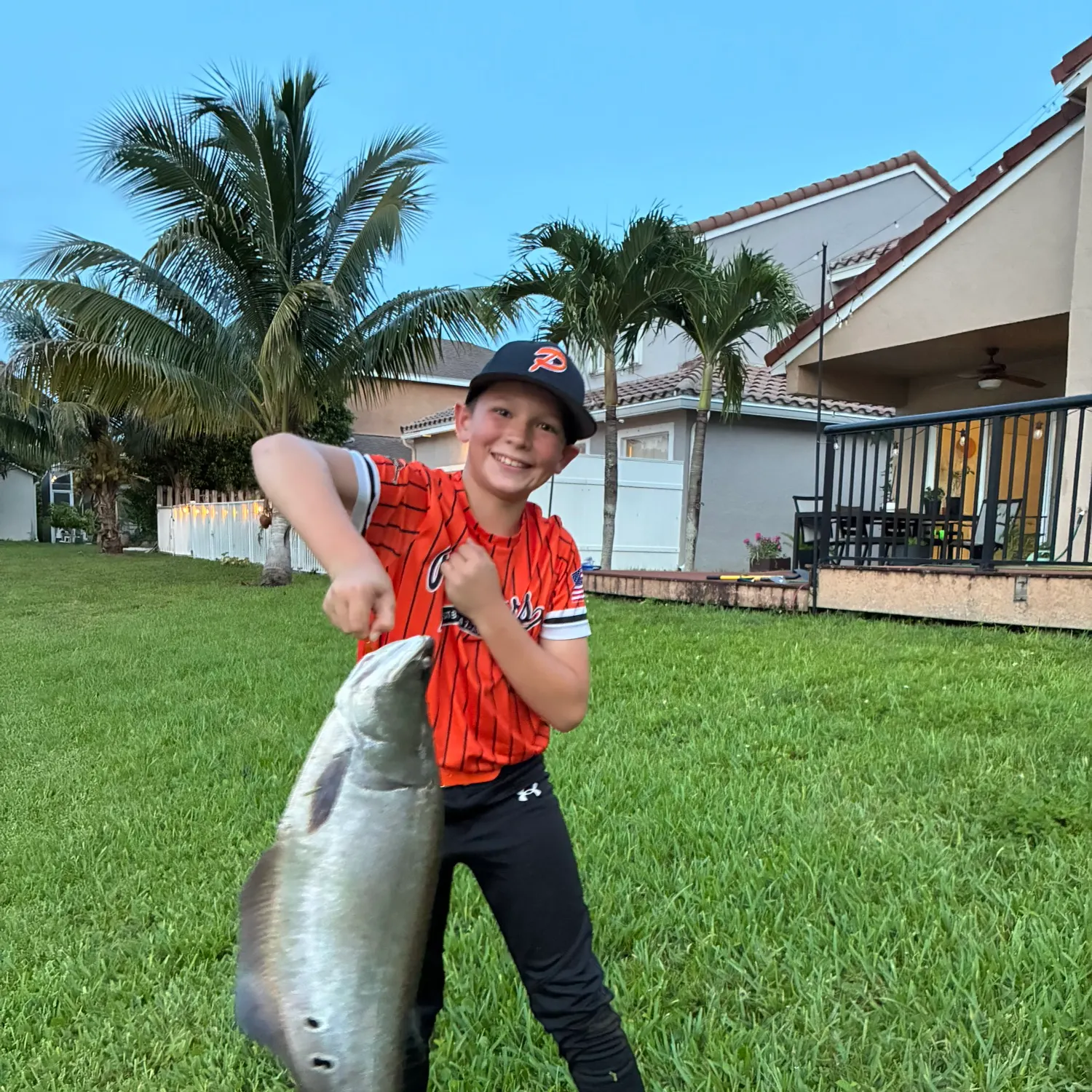 The most recent Clown knifefish catches on Fishbrain