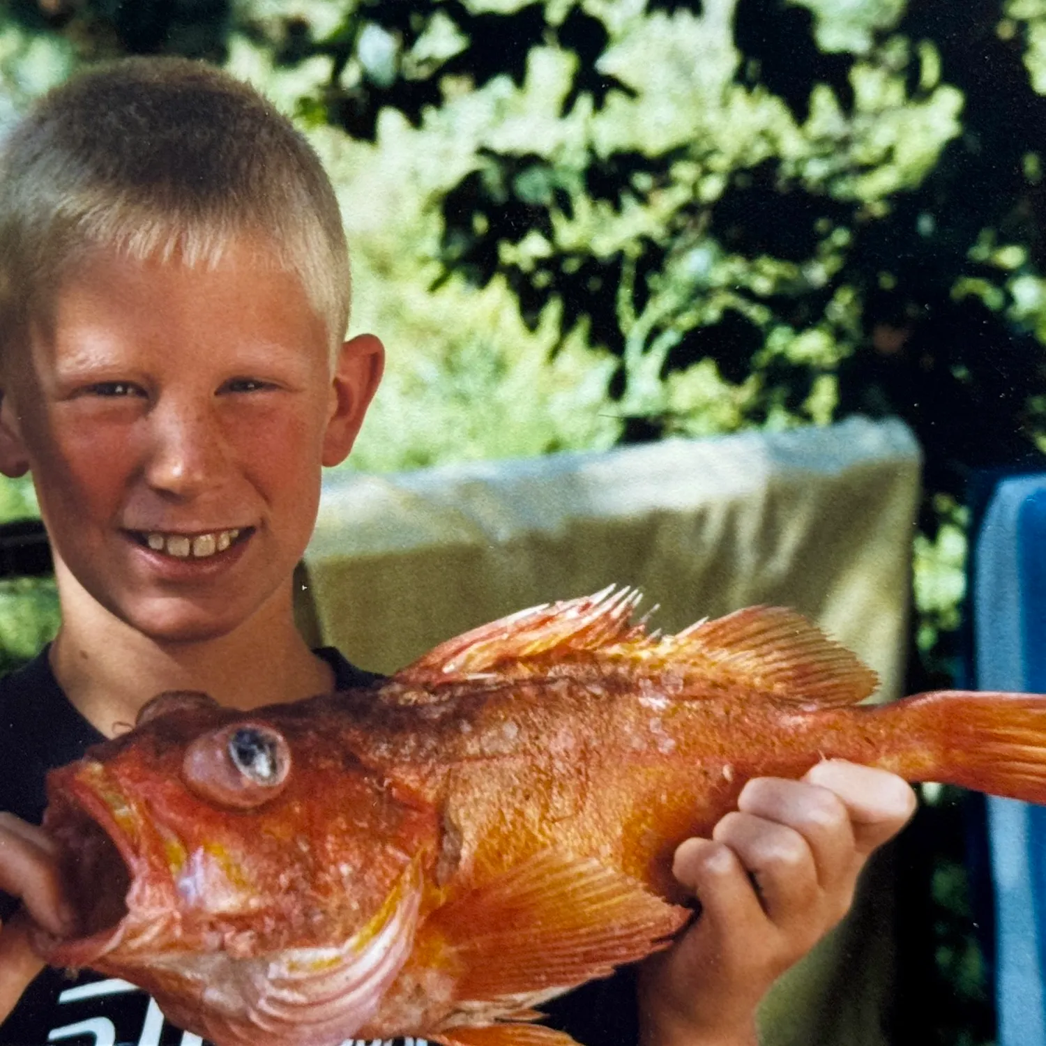 The most recent Yelloweye rockfish catches on Fishbrain
