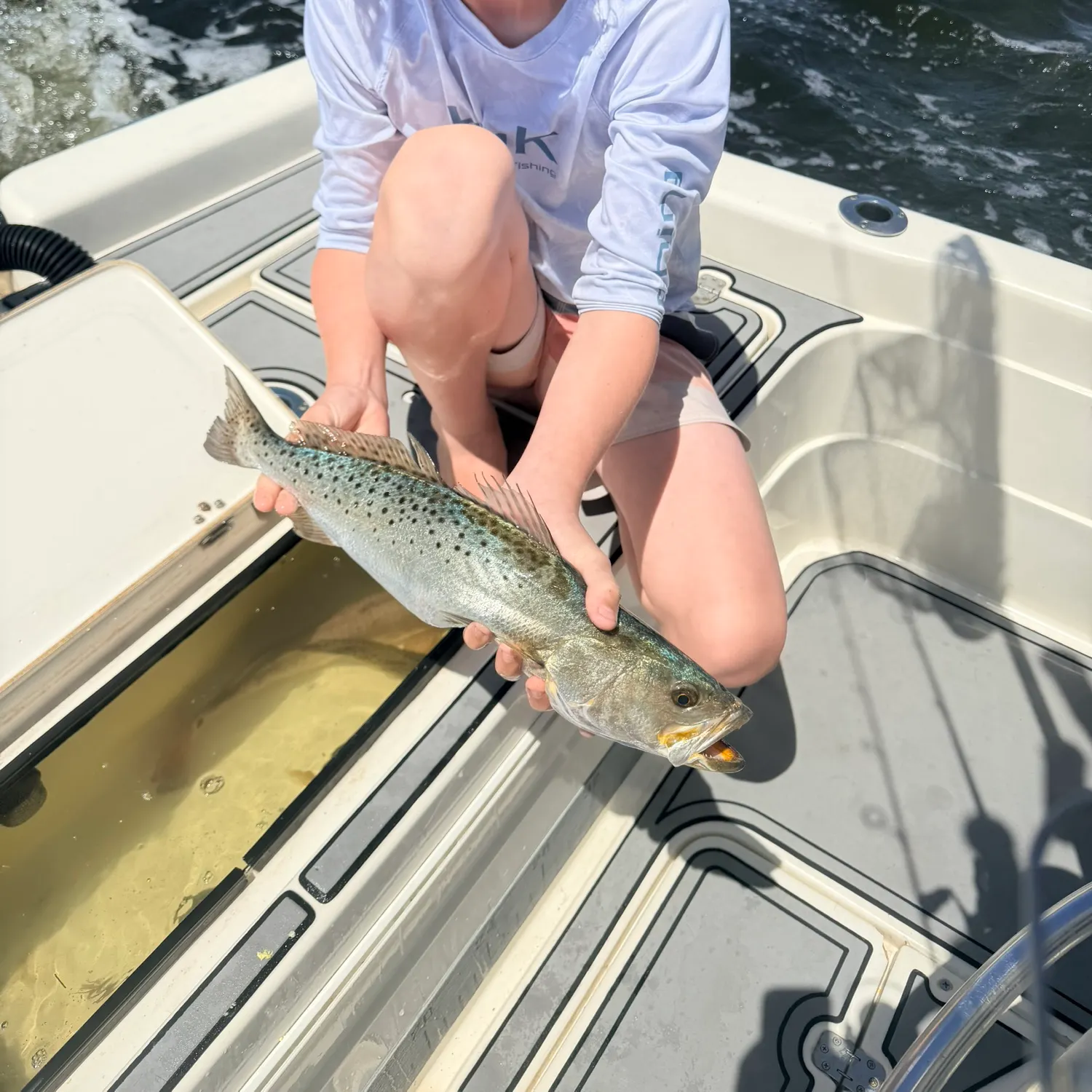 The most recent Spotted seatrout catches on Fishbrain