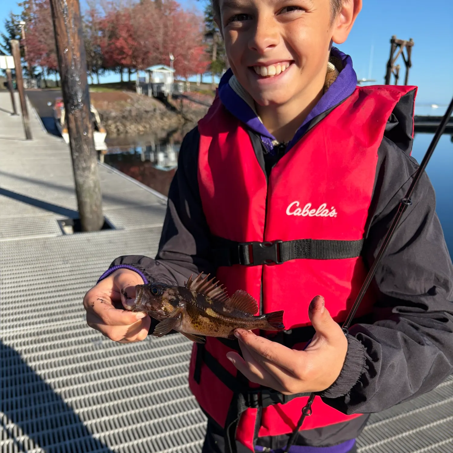 Copper rockfish caught on Fishbrain