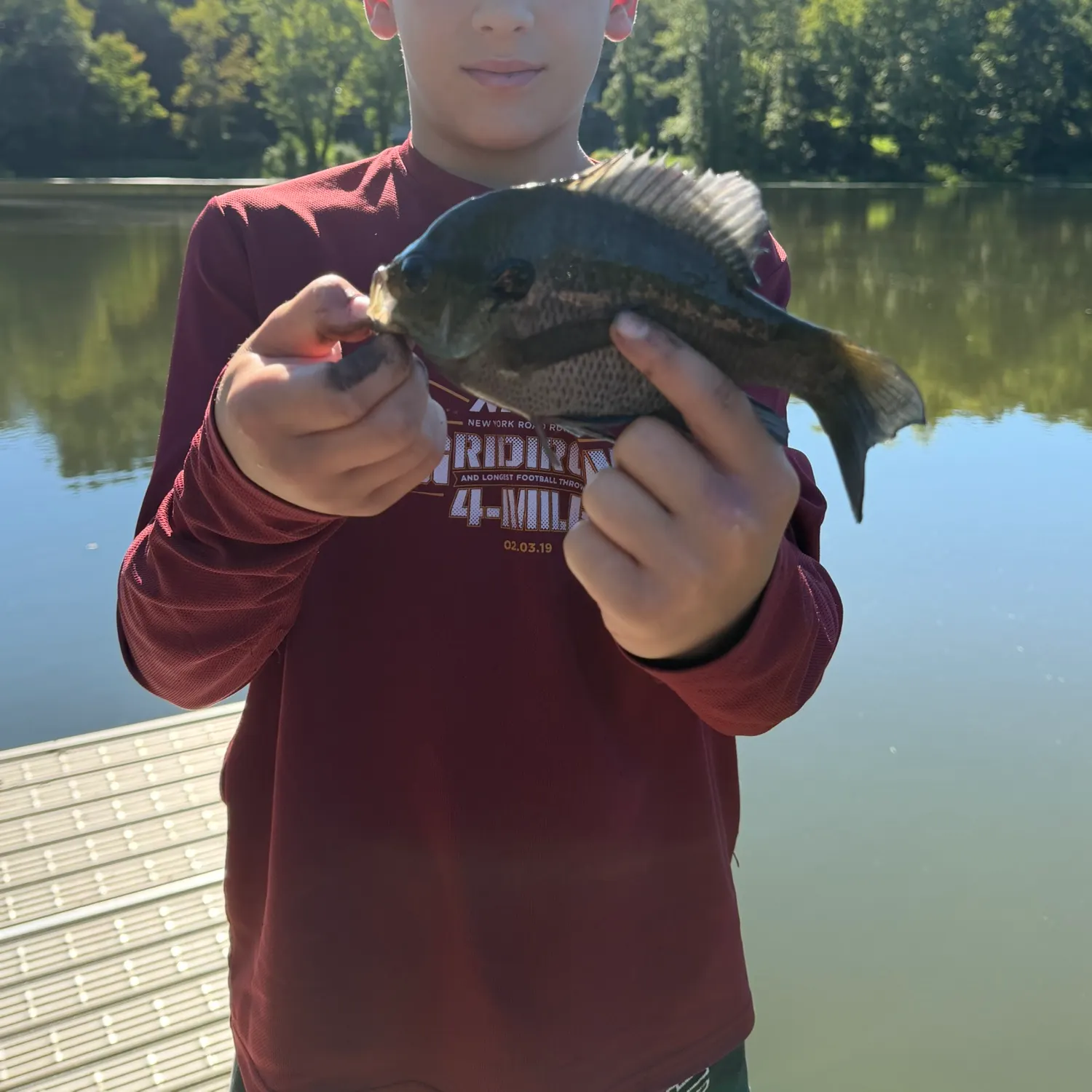 Fish caught on Fishbrain
