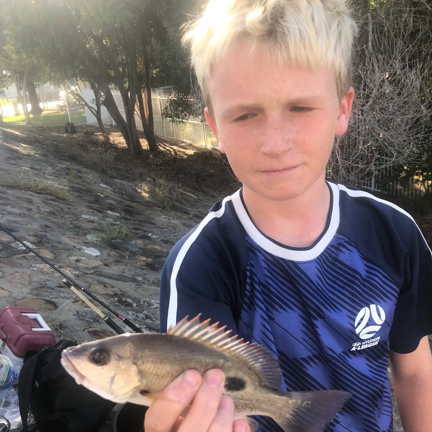 The most recent Moses perch catches on Fishbrain