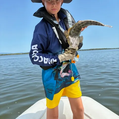 The most recent Dusky flathead catches on Fishbrain